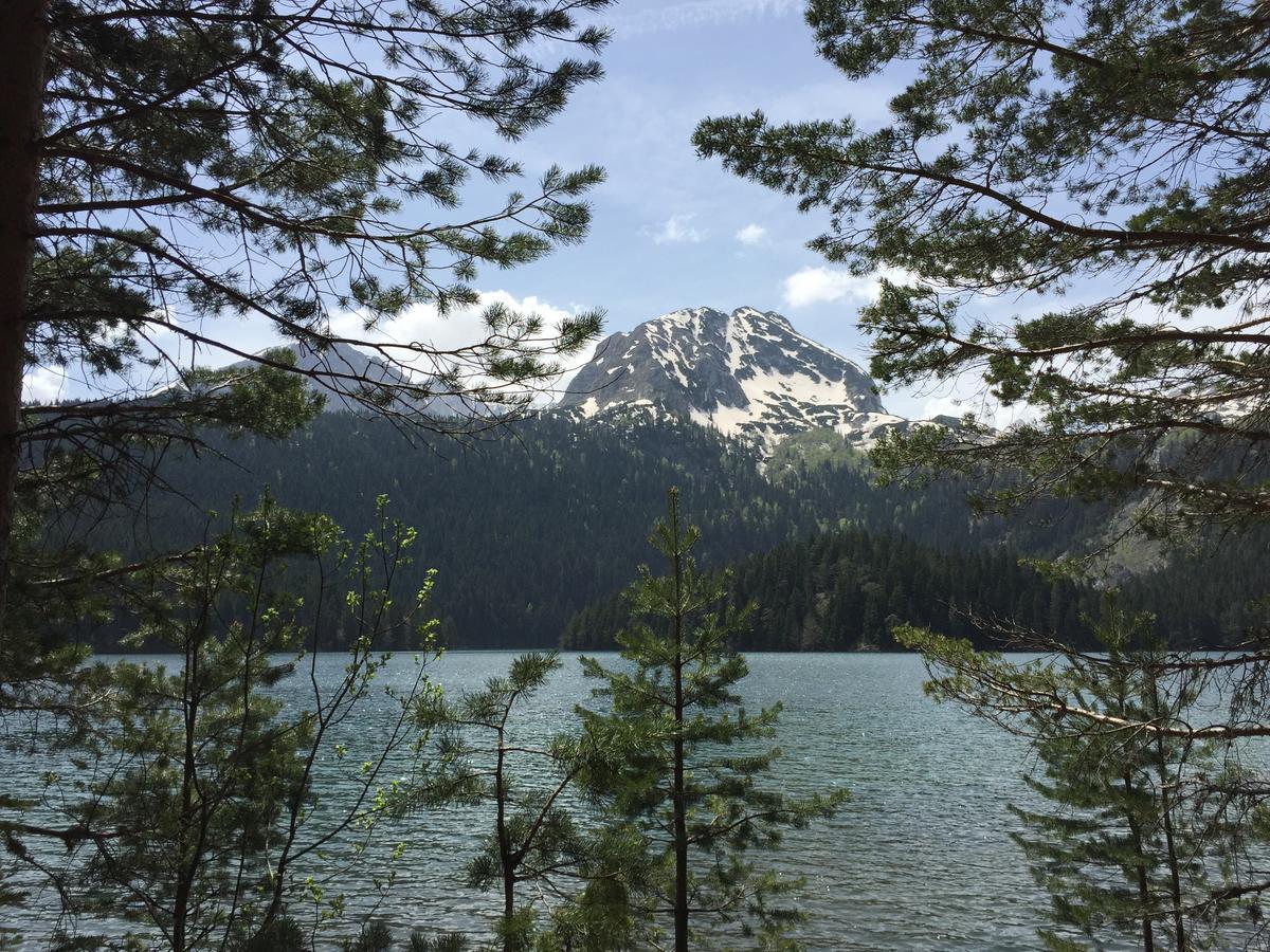 Villa Moutain View Žabljak Esterno foto