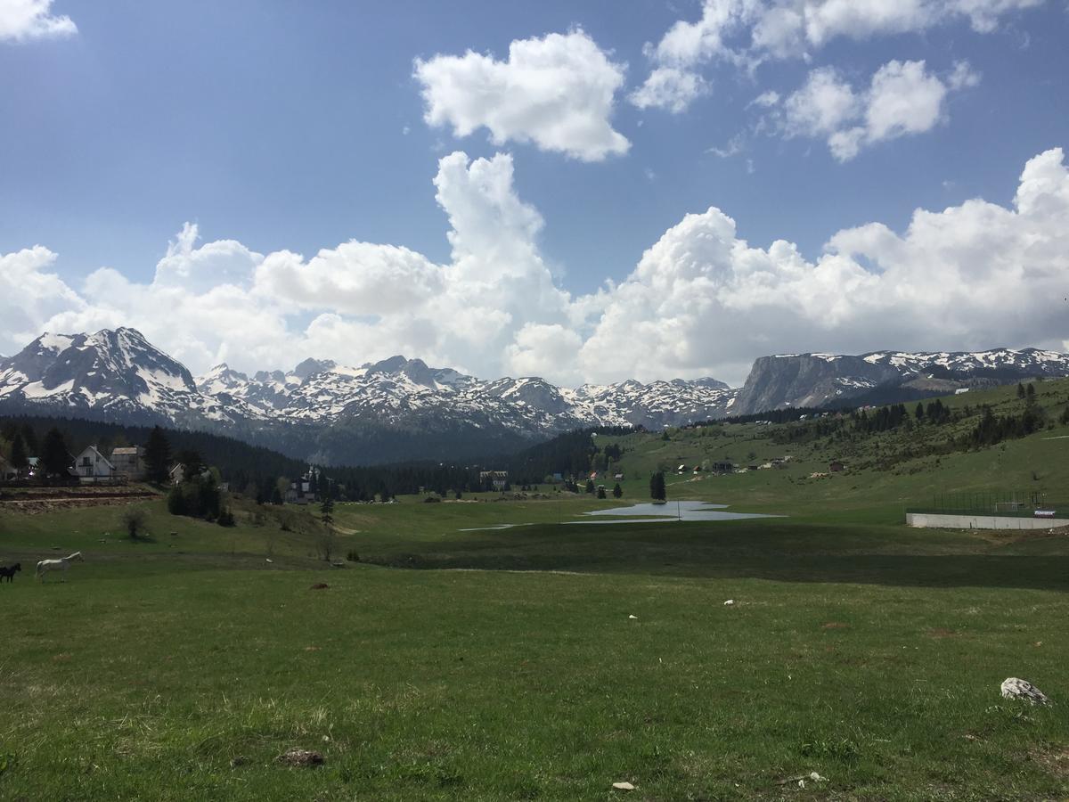 Villa Moutain View Žabljak Esterno foto