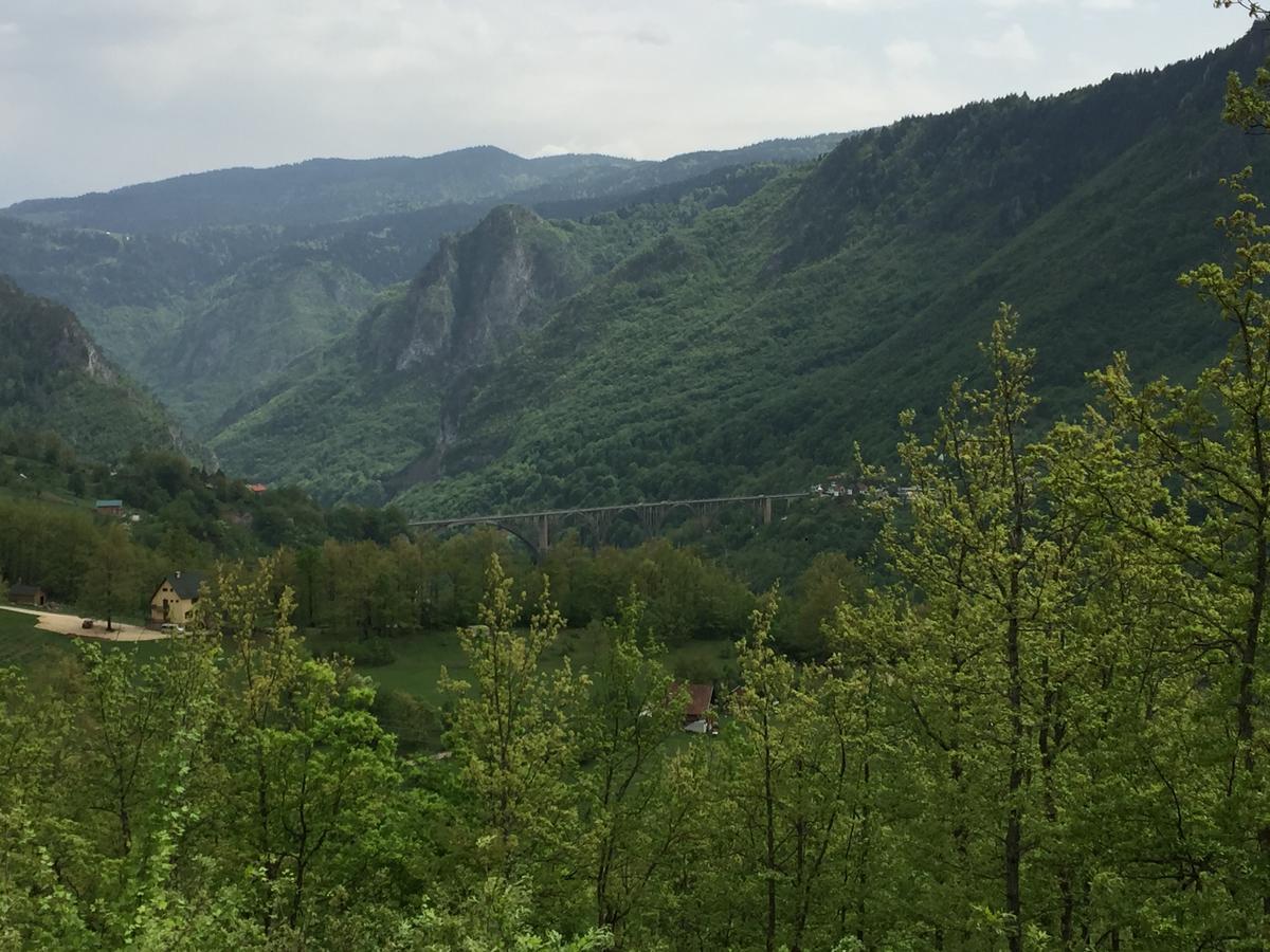 Villa Moutain View Žabljak Esterno foto